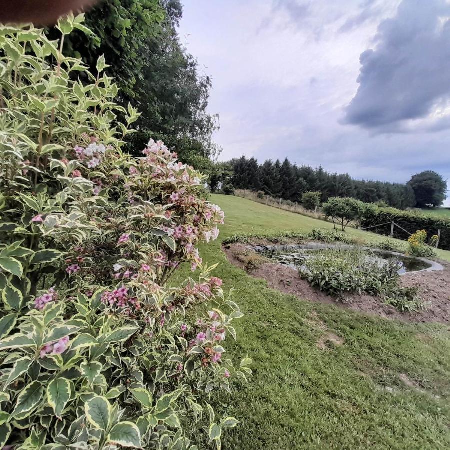 Le Gite Pierre Et Bois Houffalize Buitenkant foto